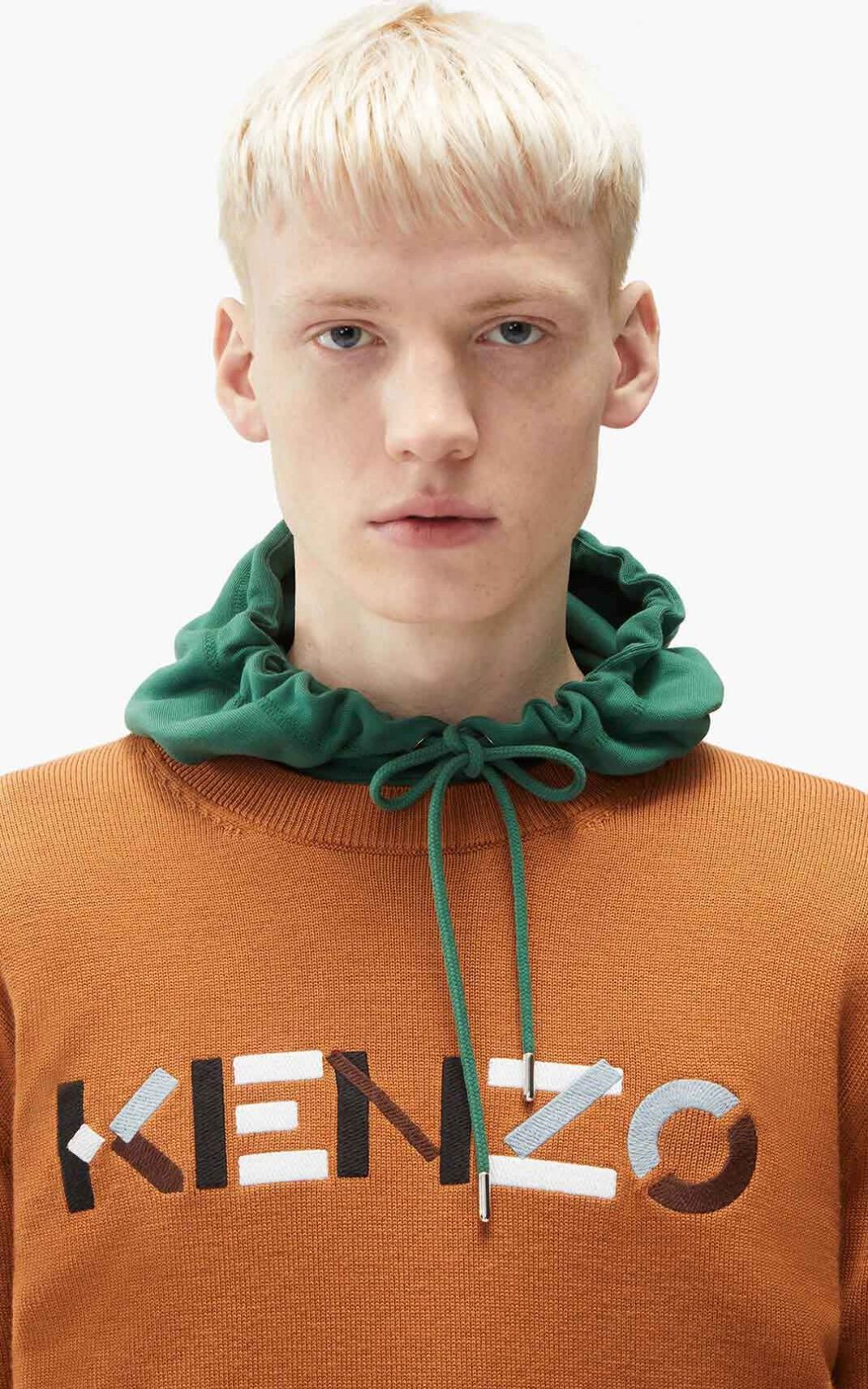 Kenzo Logo merino wool Striktrøje Herre - Brune DK-658896